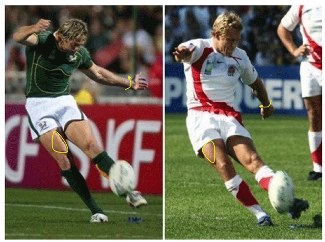 XL3-Afbeelding-2-van-Column-XL