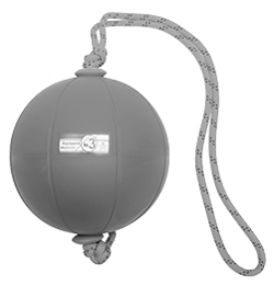 XL14TipsAccosCrossFit-3