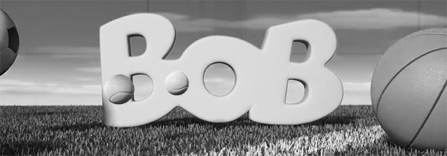 XL14-BosscheBanner-2