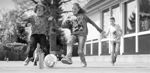 XL38TipsAccosPingelpaal-1