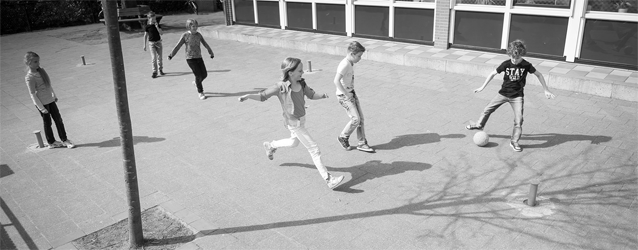 XL38TipsAccosPingelpaal-2