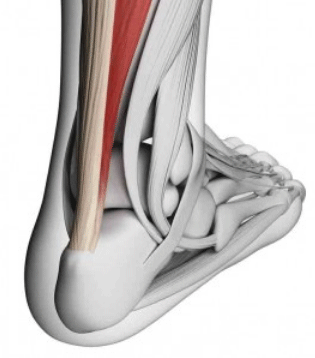 XL11OnderzoekErasmus-2a