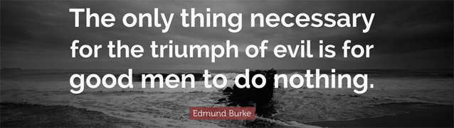 XL12FeedbackXL-quote