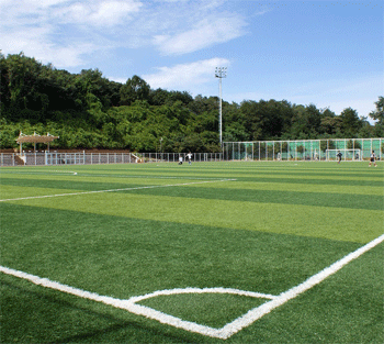 XL4Verhagen-kunstgras-2