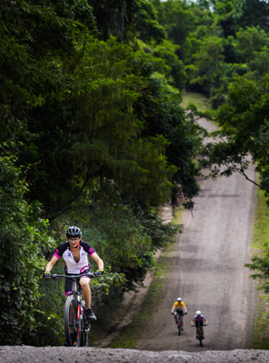 XL12-4-Cycle for Plan_foto1