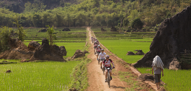 XL12-4-Cycle for Plan_foto2