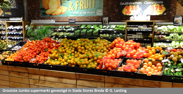 XL15 Vraag & Antwoord Colette Cloosterman-van Eerd_foto1 copy