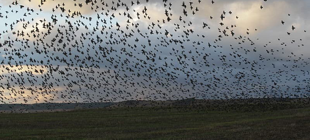 XL32 OpenPodiumBerkhout-2