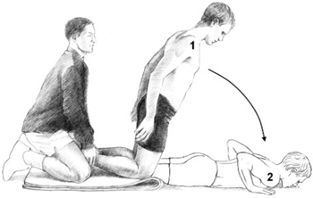 Nordic-hamstring-exercise350