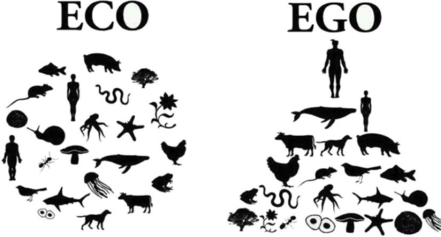 XL7 ColumnXL-MargotVanBeusekom-4 copy