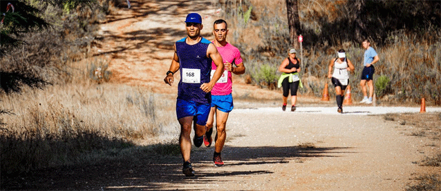 XL9VraagAntwoordAdJ-2