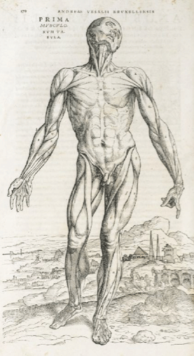 XL43BoekenBroekeFilosofie-2