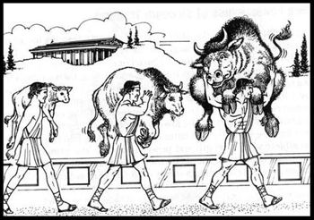 XL29SportgerichteWetenschapKrachttraining-1