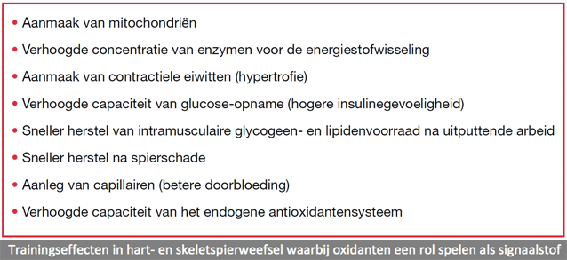Sportgericht-Oxydanten-3