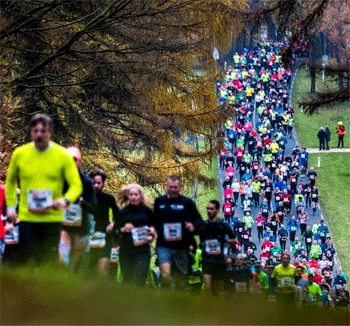 ColumnXLJJ-tweeluik-2