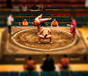 XL9InnovationXL-AH-joker-2