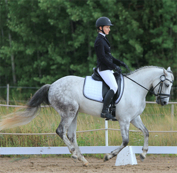 XL11SportbesturenInDePraktijk-TB-dressuur-1