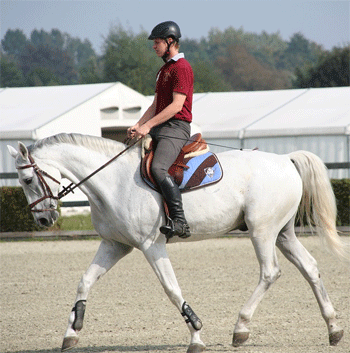 XL11SportbesturenInDePraktijk-TB-dressuur-2