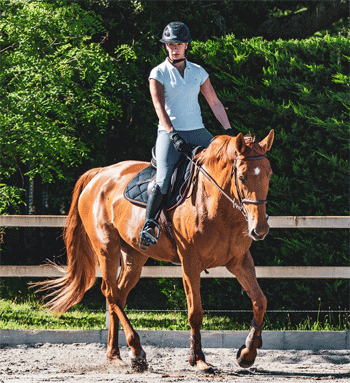 SportbesturenInDePraktijk-krietiekKNHS-1