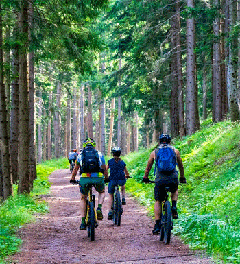 VraagAntwoord-MTB-NTFU-2