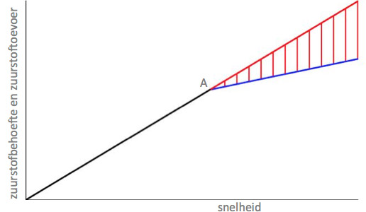 XL32SportgerichtJH-Hassan-4