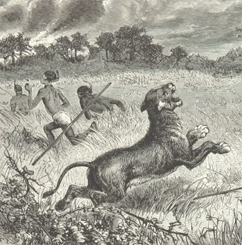 XL3SportgerichteWetenschapZones-3