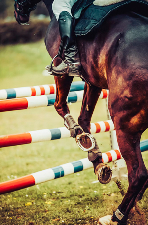 XL5SportbesturenPraktijkTB-1