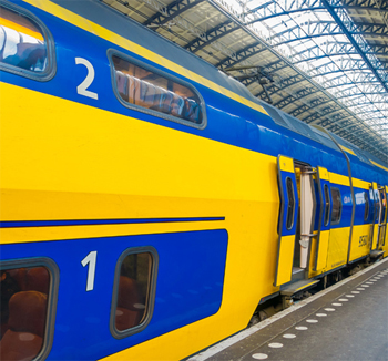 XL15FeedbackXLRdLhoody-1