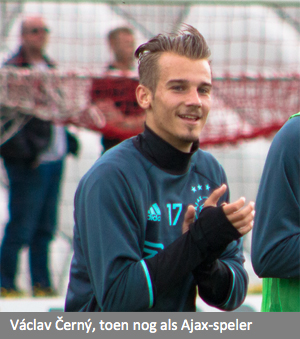 XL17FeedbackXL-HK-parallel-2