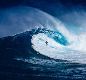 XL3SportgerichteWetenschapTOO-1