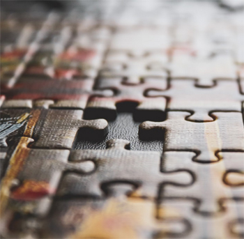 XL9SportgerichteWetenschap-1