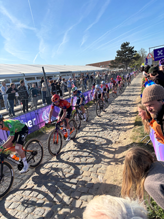 XL13FeedbackXL-RdL-RvV-1A