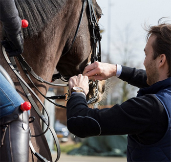 XL23InnovationXL-paarden-1