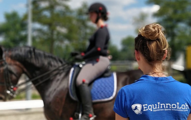 XL23InnovationXL-paarden-2