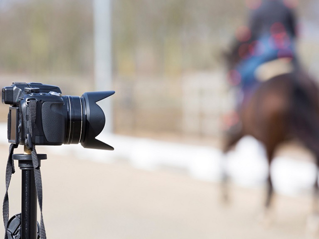 XL23InnovationXL-paarden-3