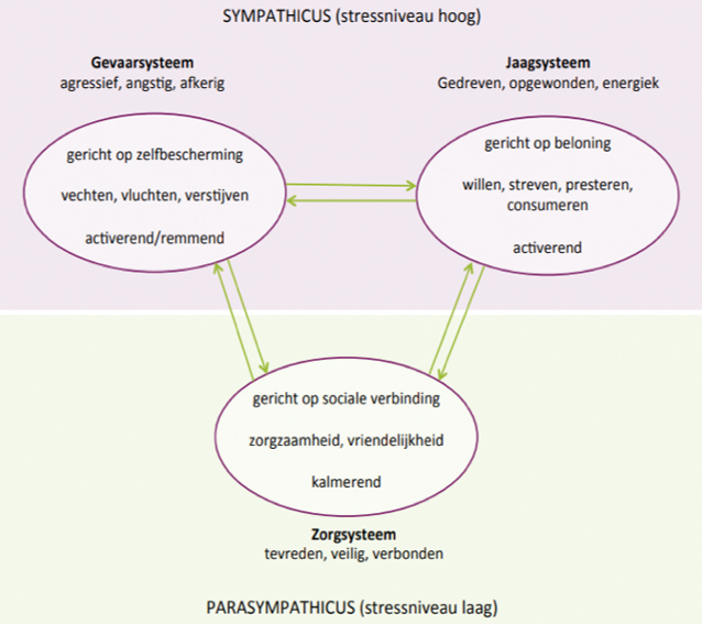 XL25TopsportMindyou-AV-1