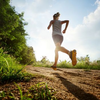 XL34 - 1. shutterstock_136301591