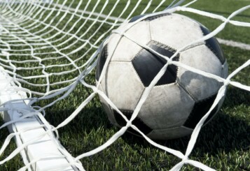 14012026 balindoel shutterstock