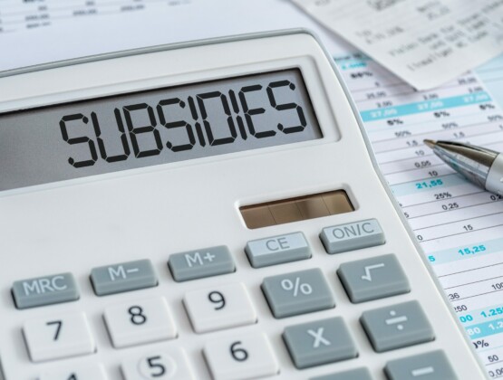 Subsidies shutterstock 2187300079